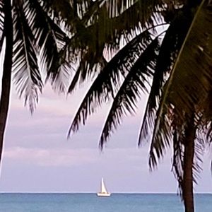 Meet your Posher, Alisa